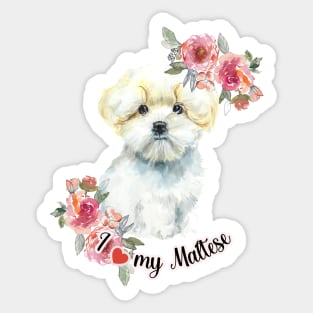 I love my Maltese Cute Maltese Puppy with Flowers Watercolor Art Sticker
